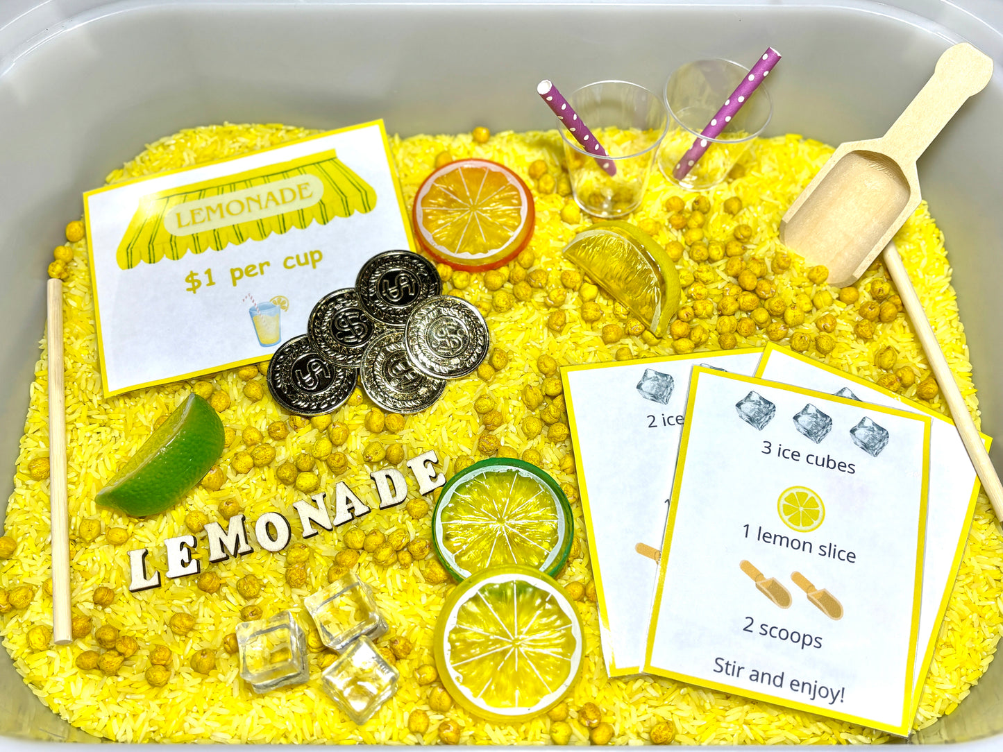 Lemonade Kit