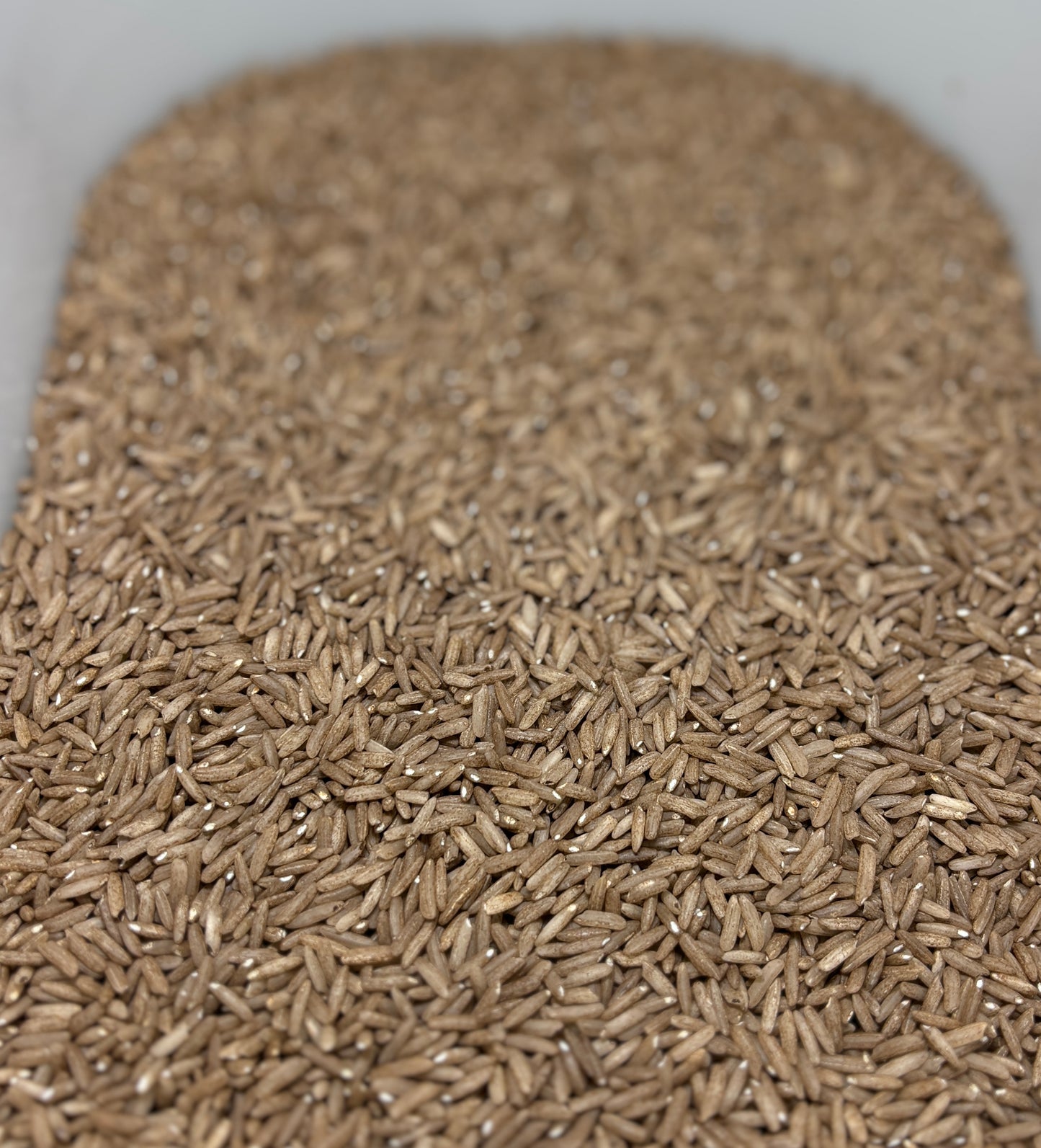 Rainbow Rice