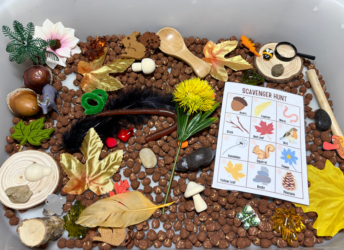 Woodland Explorer Kit