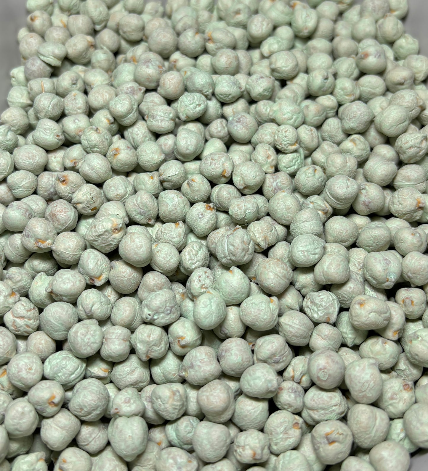 Pastel Rainbow Pearls